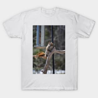 Waiting for Lunch , Squirrel T-Shirt